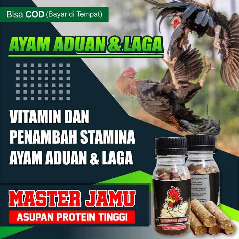 pakan ayam aduan penambah stamina