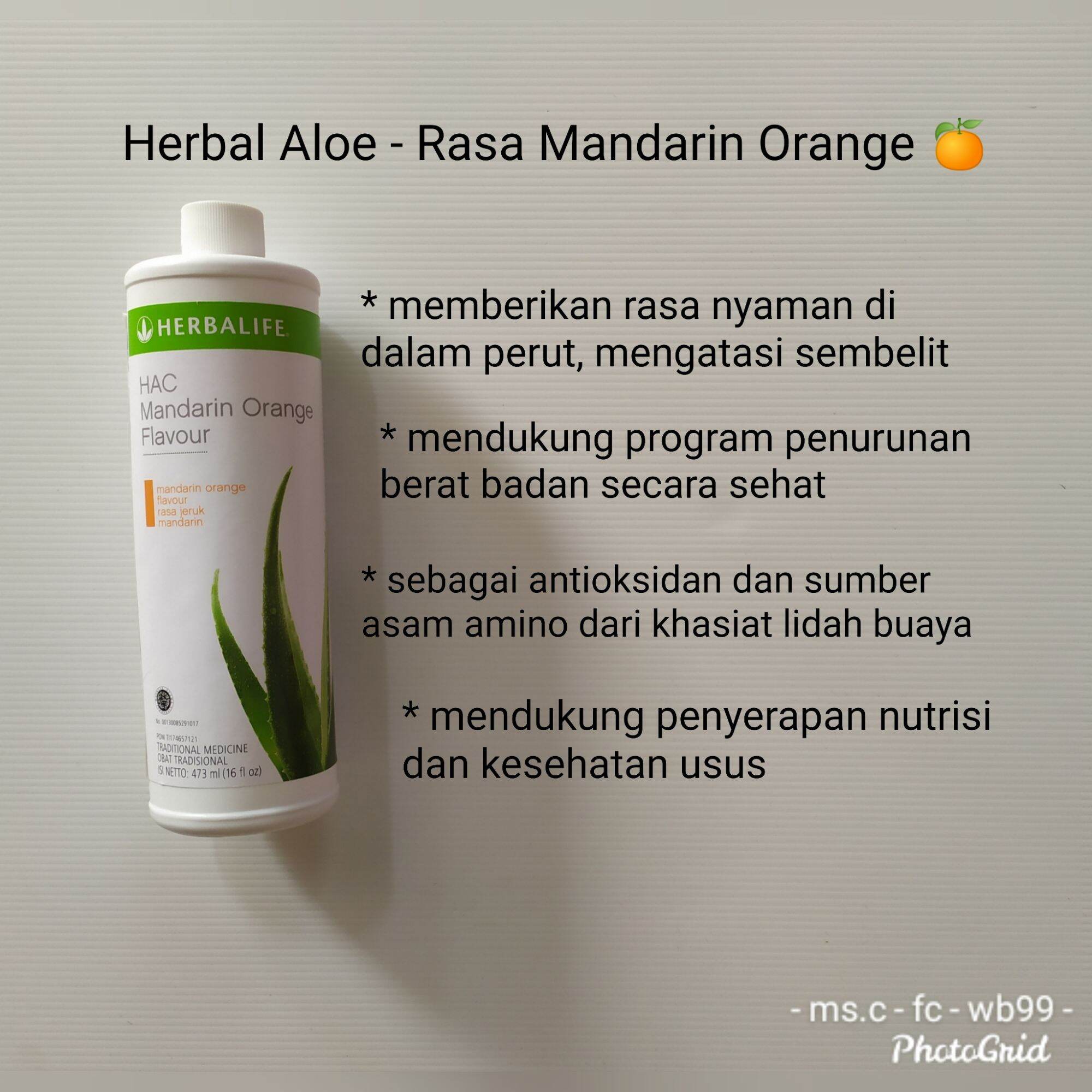 Yuk Lihat Manfaat Herbal Aloe Concentrate 