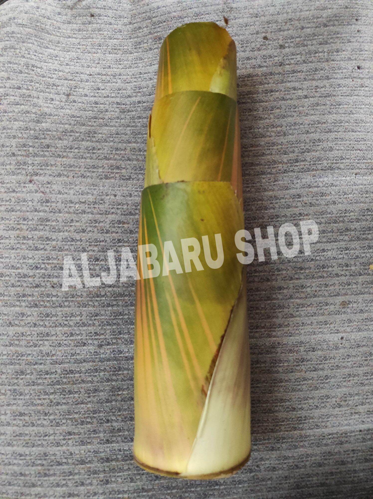 Rebung Bambu Kuning Fresh Lazada Indonesia 