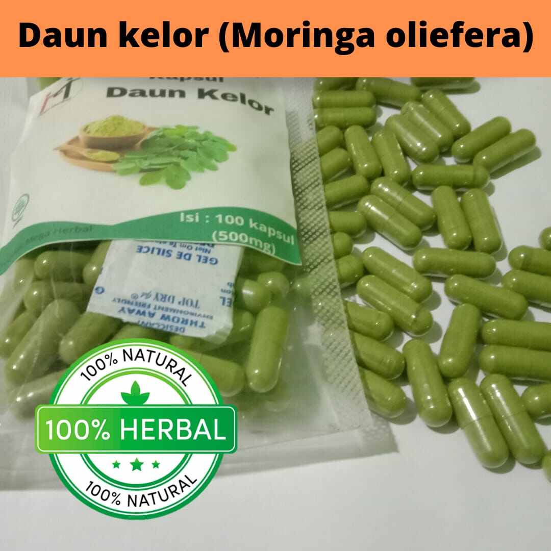 Jual Daun Sirih Cina Kapsul Box Terbaru Jun Lazada Co Id