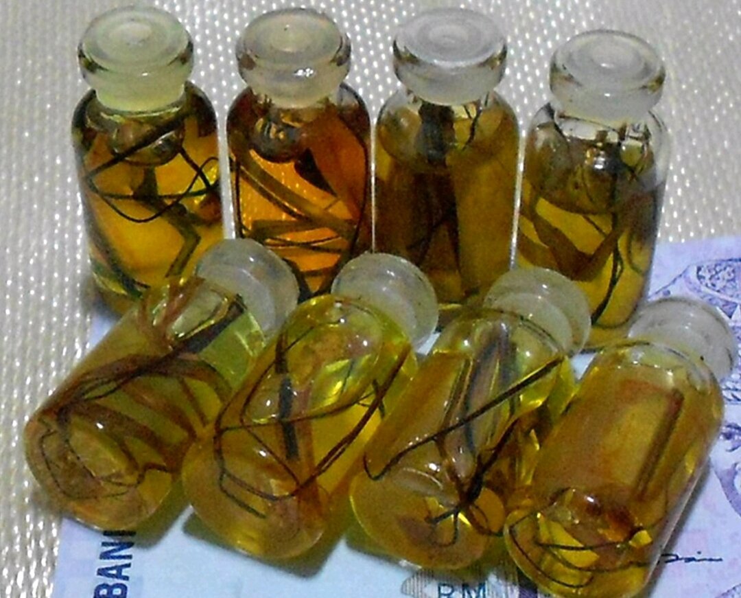 minyak bulu perindu asli kalimantan timur - Harga & Promo Terbaik | Lazada  Indonesia