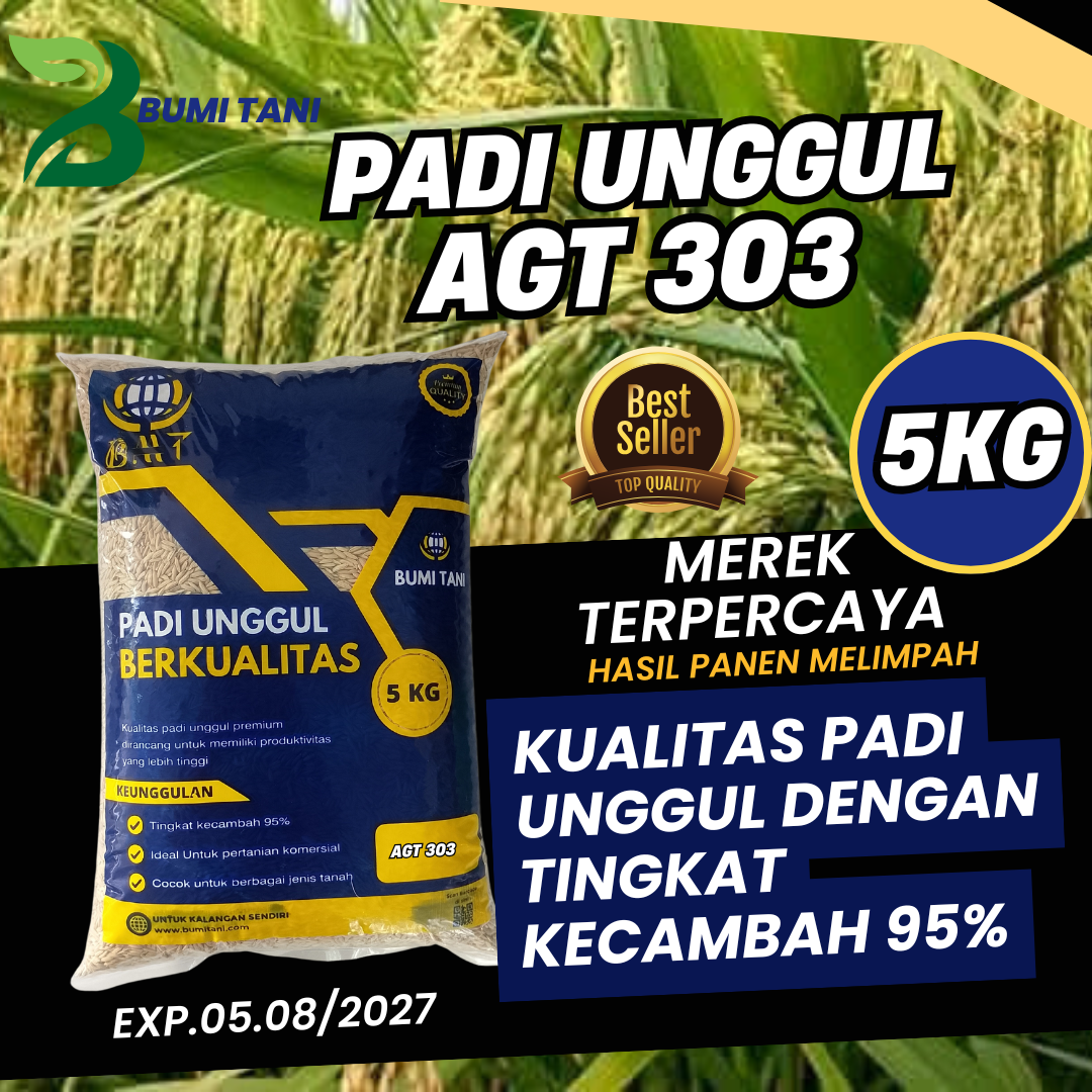 Benih padi AGT 303 Padi Galur unggul kemasan 5 kg terbaru Harga 119,000 rupiah*Gratis Ongkir