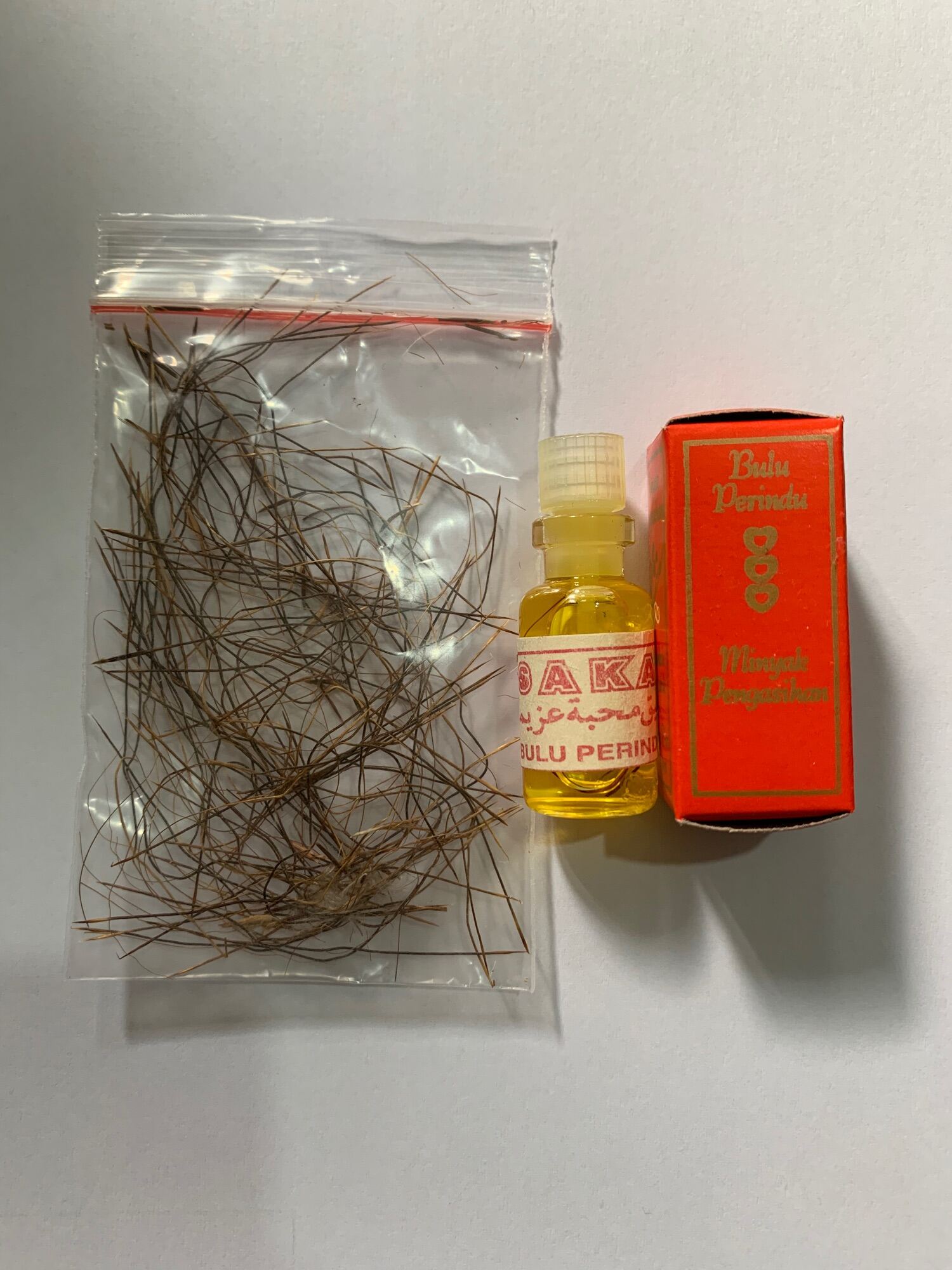Bulu Perindu Asli Menyala Di Dalam Air Minyak Bp Asli Bisa Cod Lazada Indonesia Bulu Perindu Asli Menyala Di Dalam Air Minyak Bp Asli Bisa Cod Lazada Indonesia