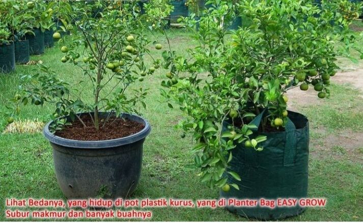 Planter Bag 100 Liter – Dadi Makmur