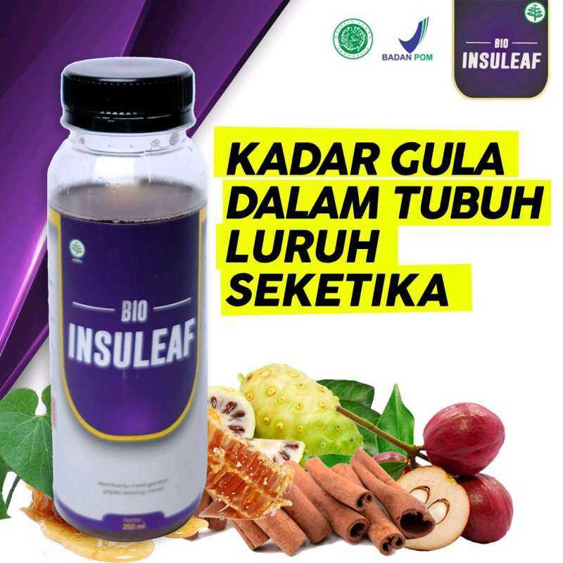 Bio Insuleaf Mengatasi Kadar Gula Di Dalam Tubuh Original Dan