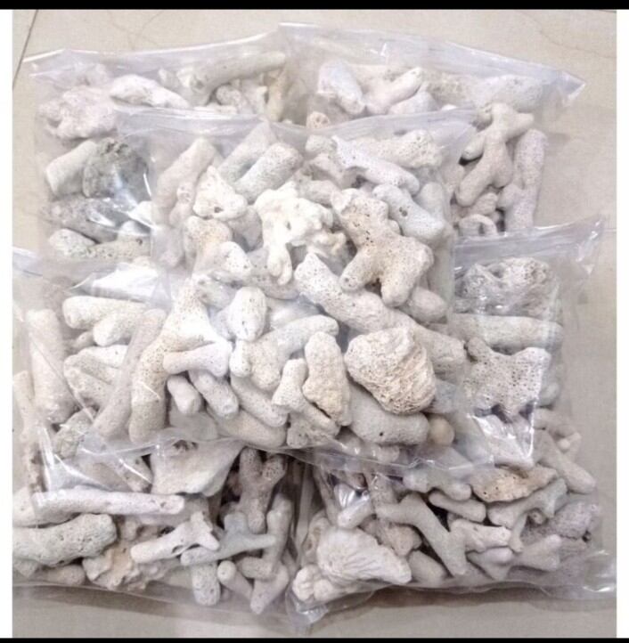 Media Filter Kolam Aquarium Karang Jahe 1kg