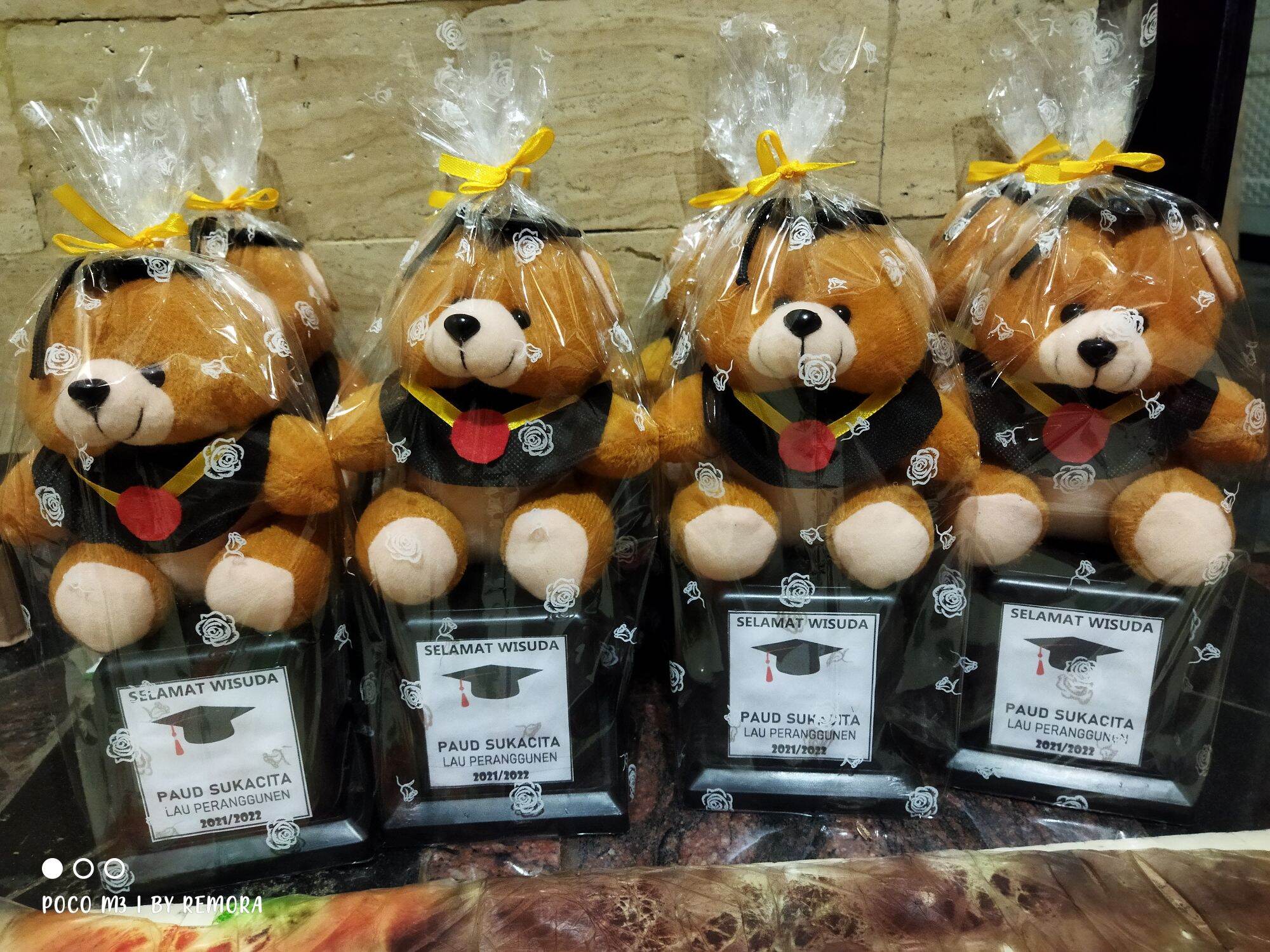 thropi piala boneka bear wisuda || kado hadiah wisuda || kado hadiah