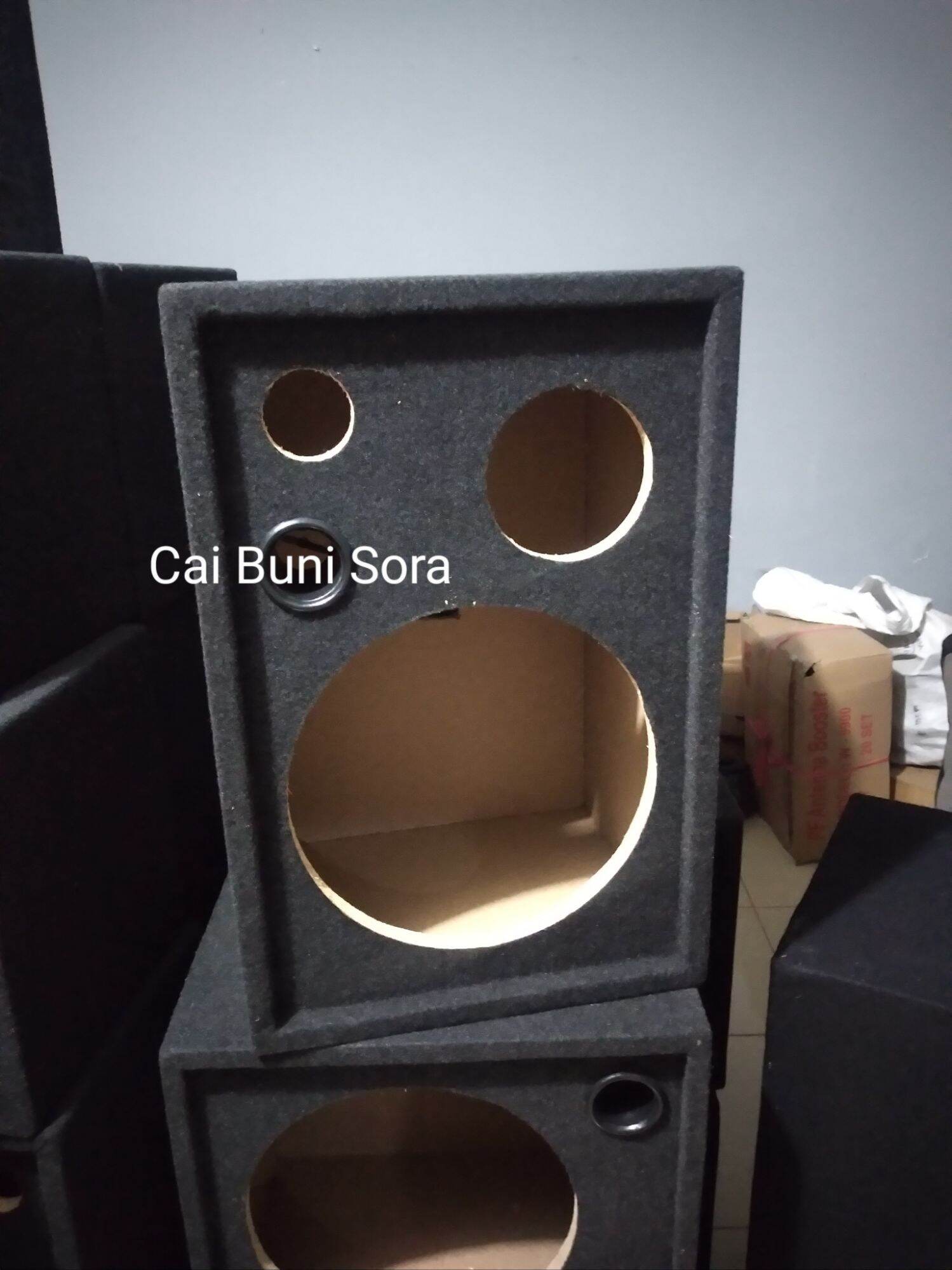 Box speaker 12 store inch