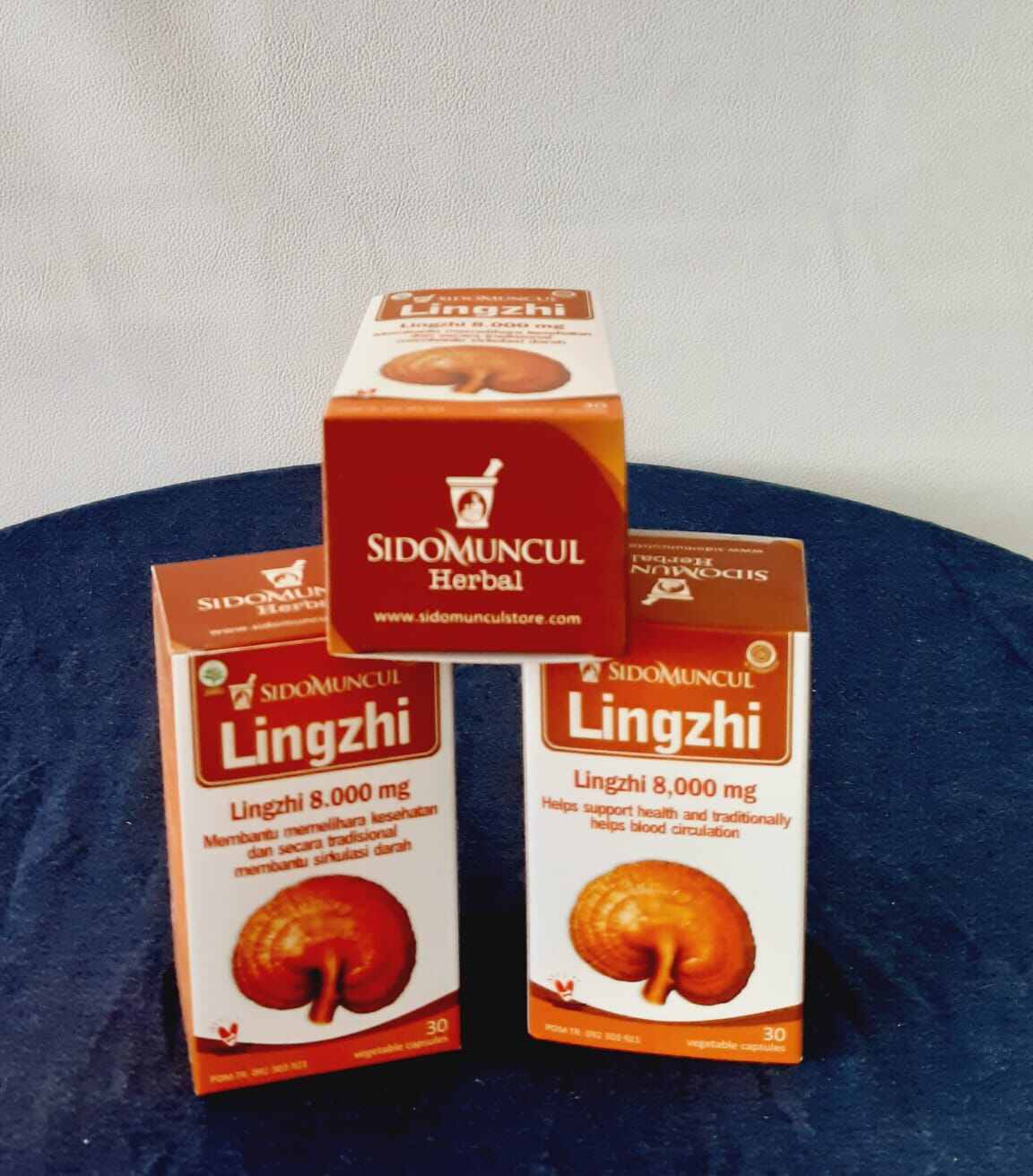 KAPSUL JAMUR LINGZHI HERBAL SIDOMUNCUL Lazada Indonesia