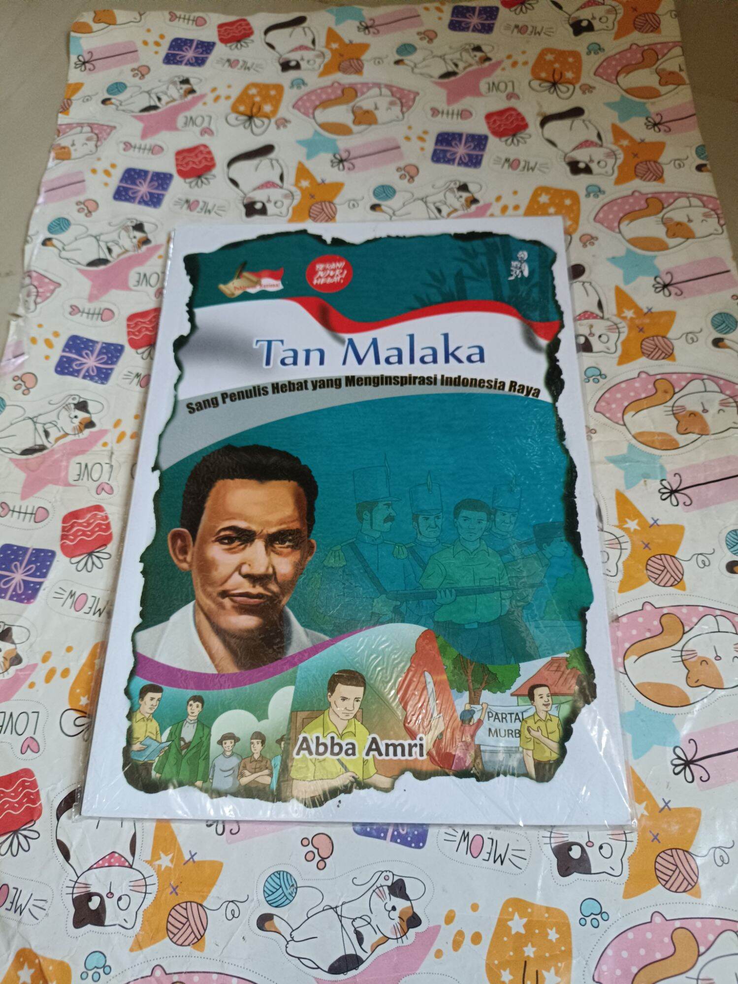 Buku cerita Pahlawan Nasional - Tan Malaka - kondisi baru | Lazada ...