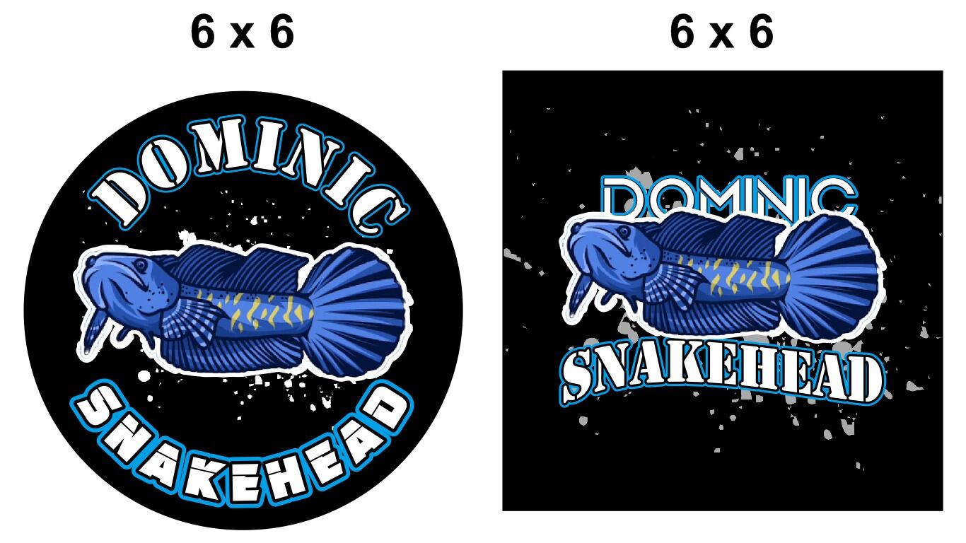 Jual Stiker Ikan Channa Pulchra Terbaru Online dengan Harga 
