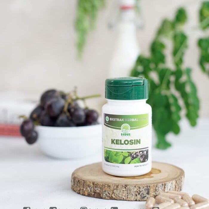 HNI Kapsul Kelosin daun kelor pegagan bilberry untuk tekanan darah Lazada Indonesia