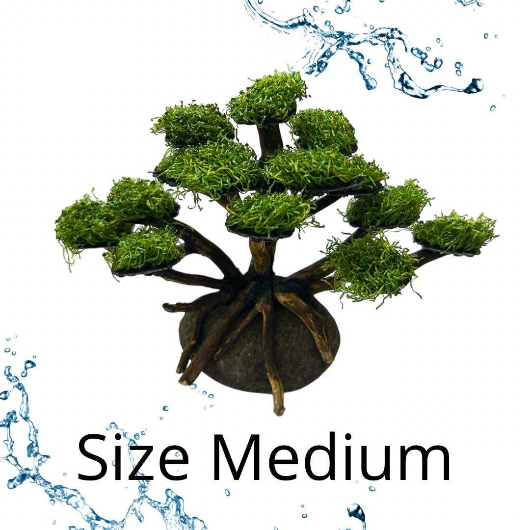 Hiasan Dekorasi Aquarium Aquascape TANAMAN BONSAI MOSS SIZE MEDIUM / SMALL
