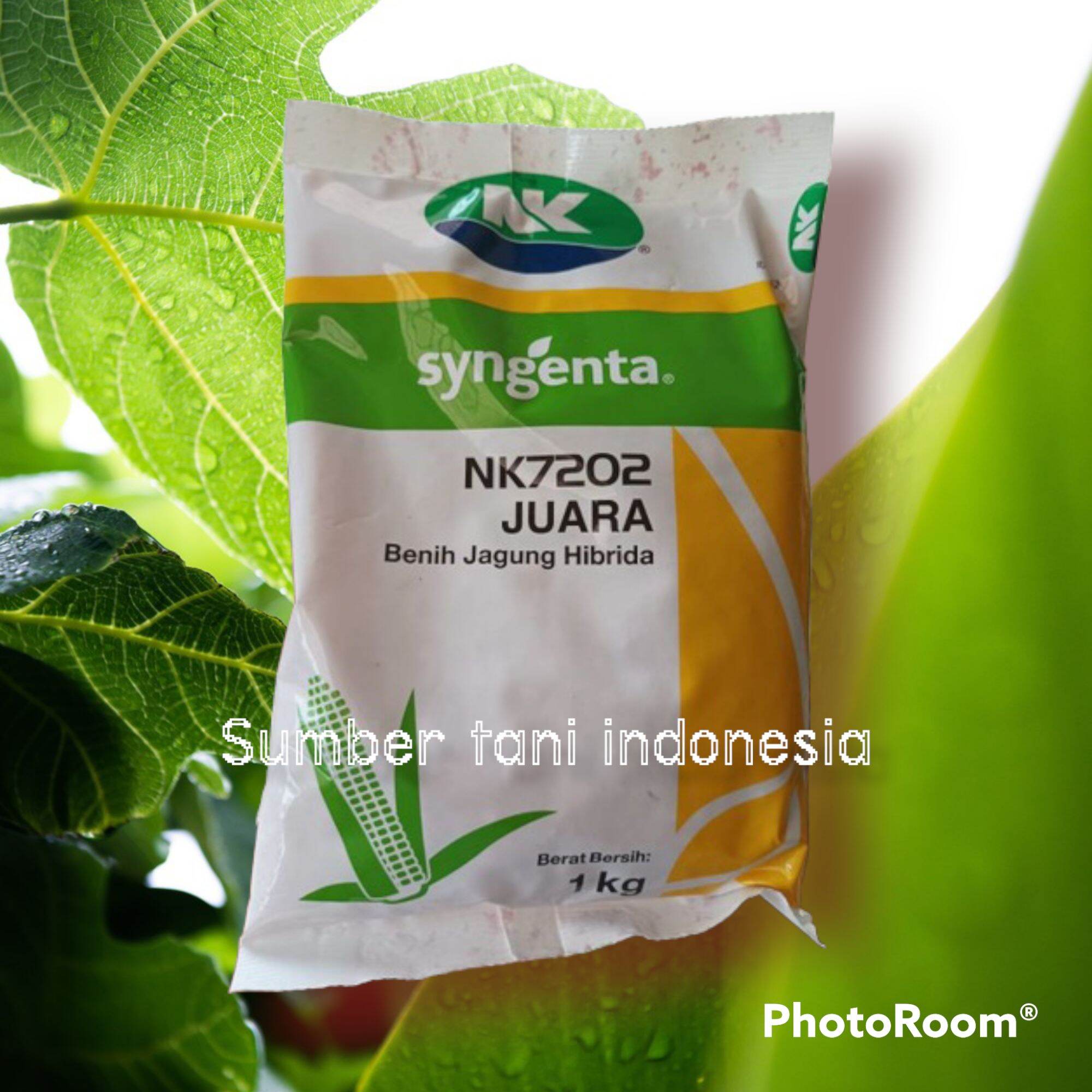 Benih Jagung Hibrida NK7202 JUARA 1Kg Syngenta | Lazada Indonesia