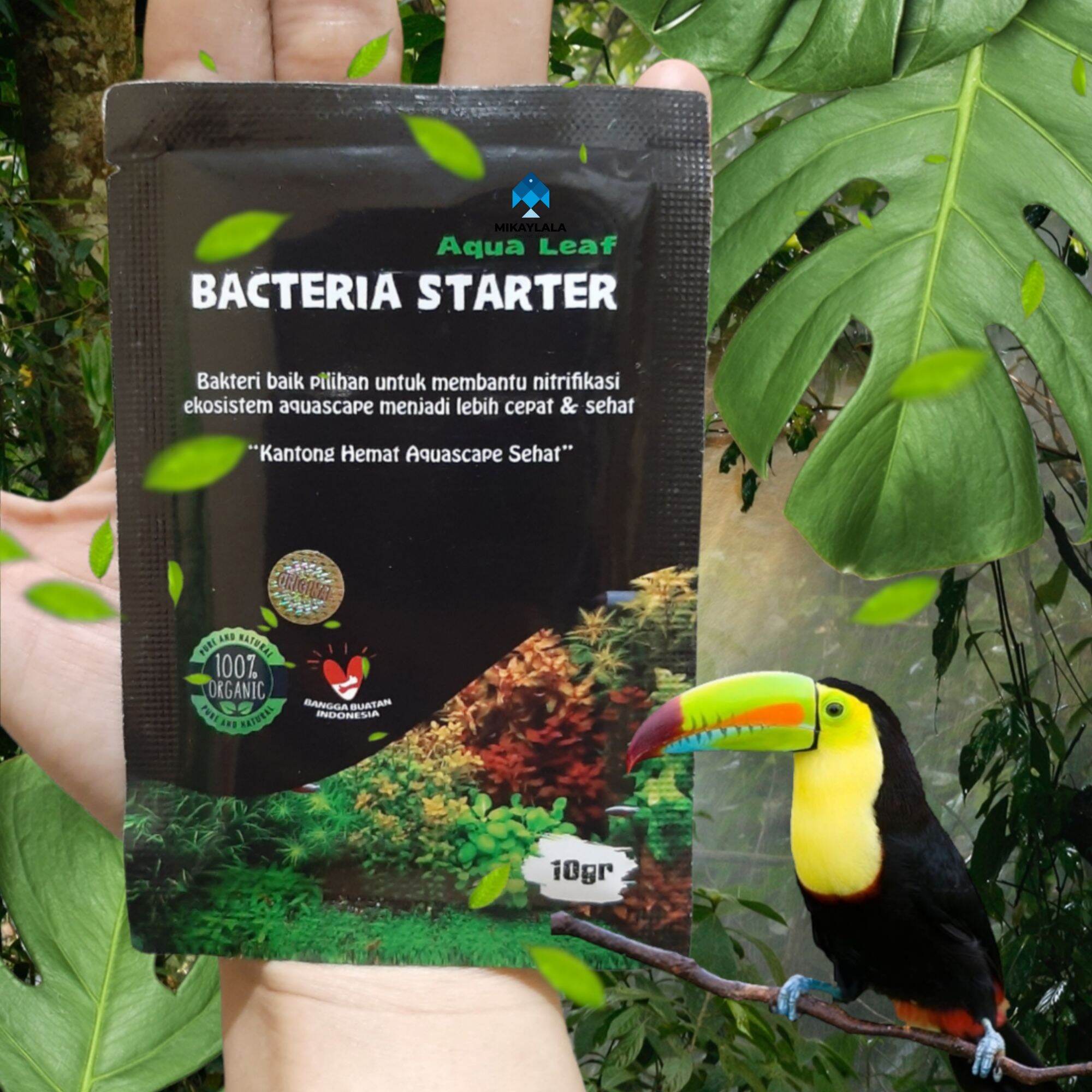 Peran Bakteri Starter Dalam Keseimbangan Aquascape Peran Bakteri Starter Dalam Keseimbangan Aquascape