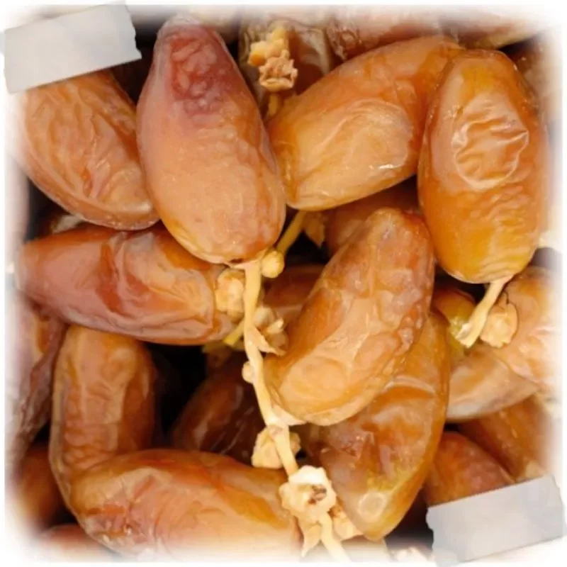 kurma tunisia tangkai asli 1kg fress premium