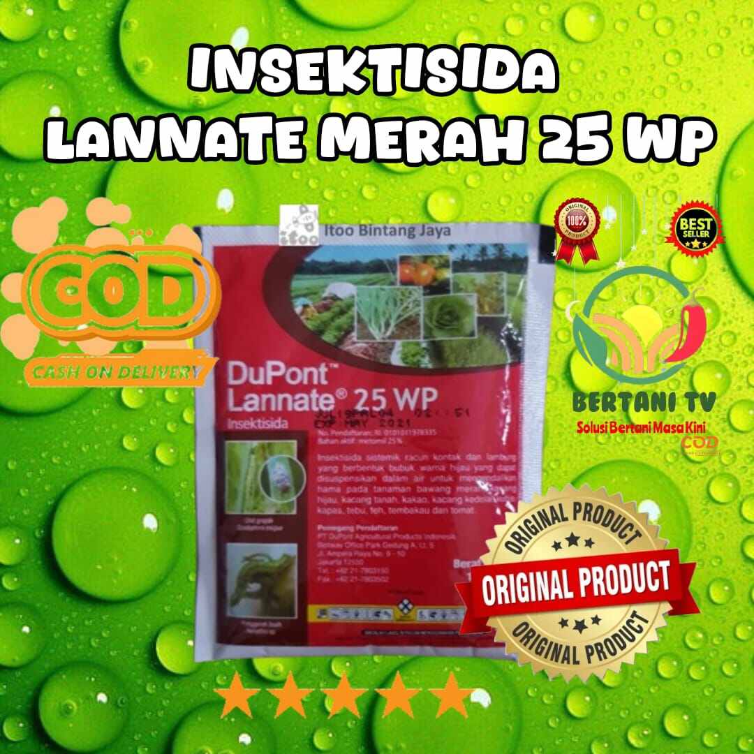 Yalangoch qizlarning raqsga tushgan fotosuratlari