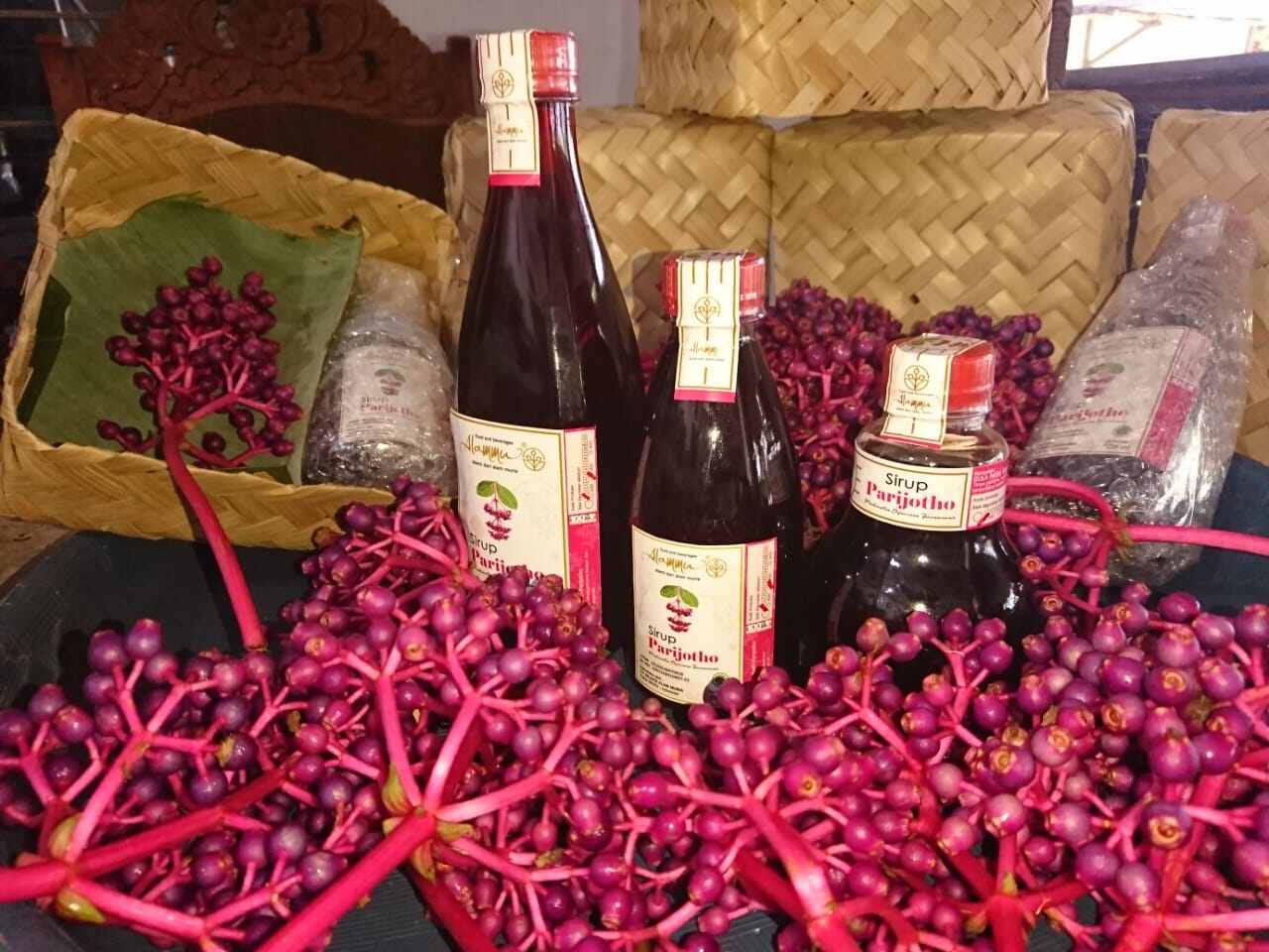 SIRUP PARIJOTO 500 ML ALAMMU