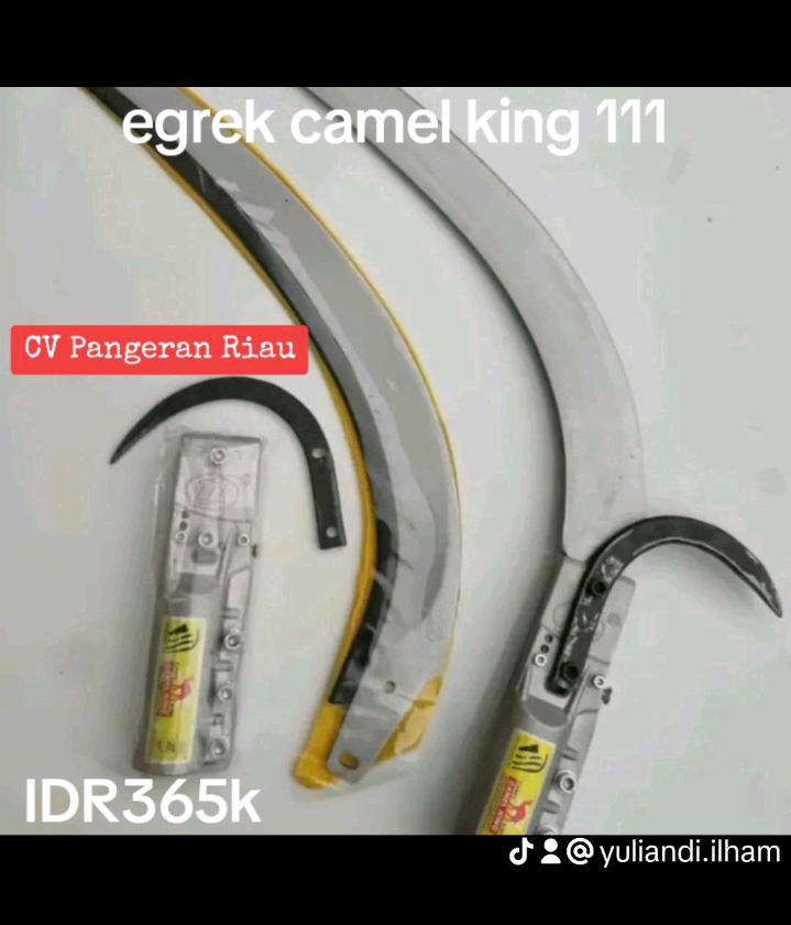 Ruslar porno videolarda avtobusda mening qiz dostimni paypaslashmoqda Malatki jinsiy aloqa