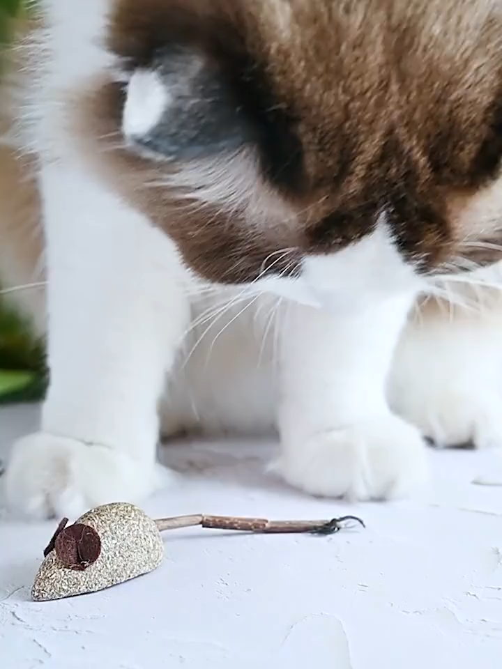 Mainan Kucing Catnip Lucu Murah Cat Toys Interaktif Bentuk Tikus