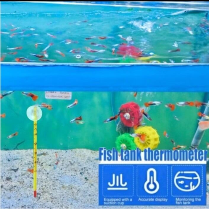 TERMOMETER NIKITA STAR PENGUKUR SUHU AIR AQUARIUM