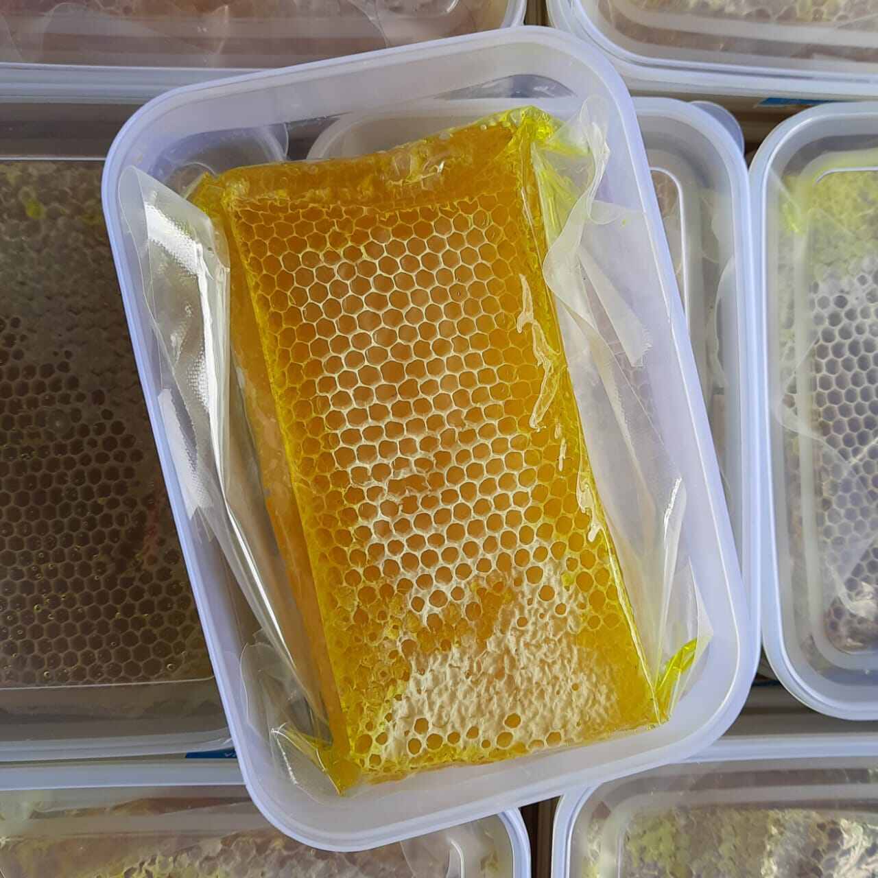 500 Gram Madu Sarang Melifera /Madu Asli Original Premium