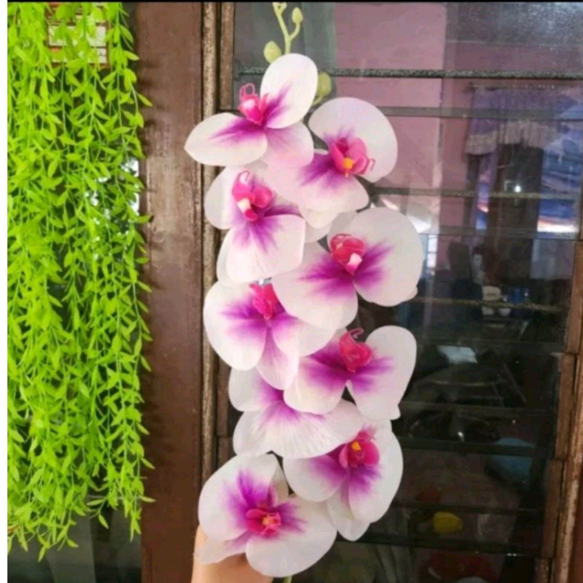 Anggrek Latex Orchid X1 Panjang 1 Meter ( Tanpa Pot )/ Anggrek Artificial