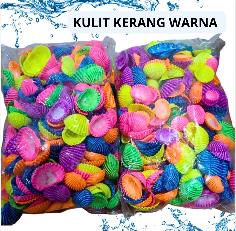 Hiasan aquarium dekorasi Kulit Kerang Warna Hias