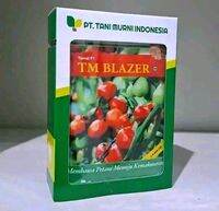 BENIH TOMAT TM BLAZER F1 10 GRAM