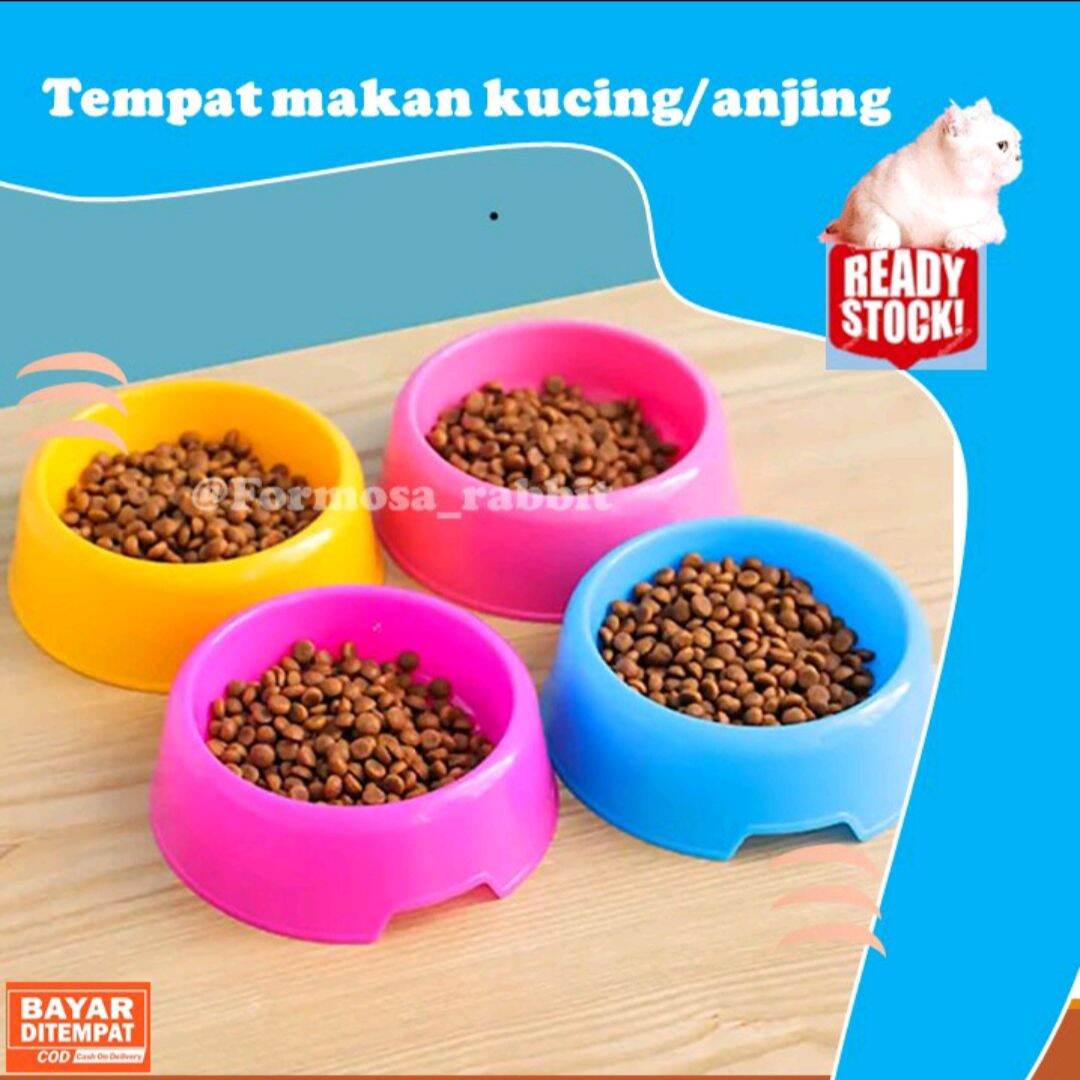 Jual tempat wadah makanan kucing kucing Terbaru  Lazada.co.id