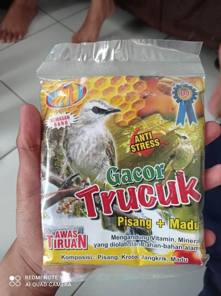 Voer trucuk gacor (pisang madu) | Lazada Indonesia