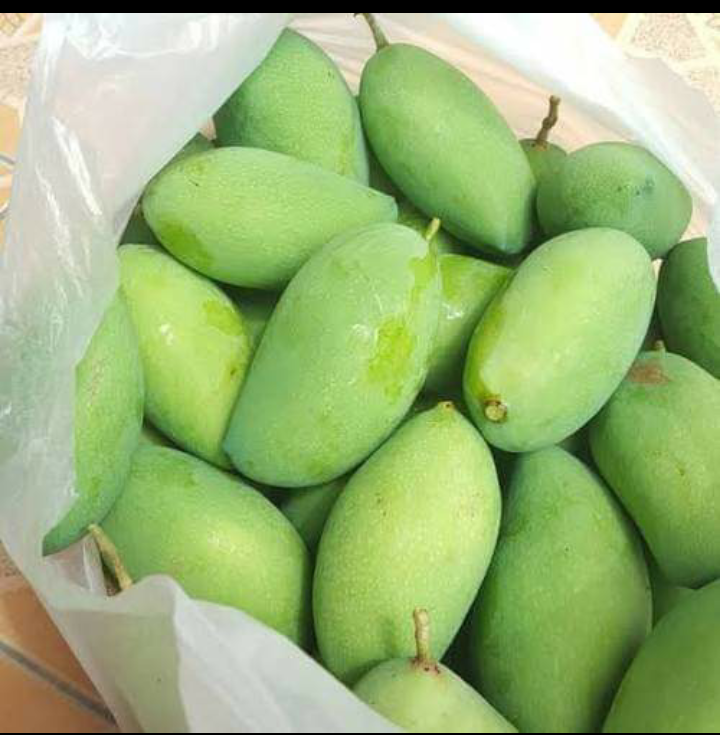 Mangga Muda Sangat Cocok Untuk Dirujak Segarr Dan Freshh Isi 1kg