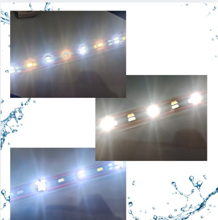 RECENT DAY & NIGHT T4 N 100 Lampu Celup Led Tanning View Aquarium