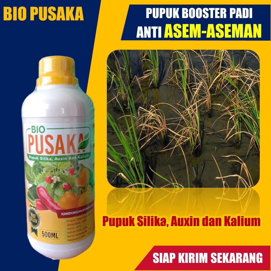 PUPUK PADI Anti Asam-asaman BIO PUSAKA Isi 500 ML - Obat Pelebat ...