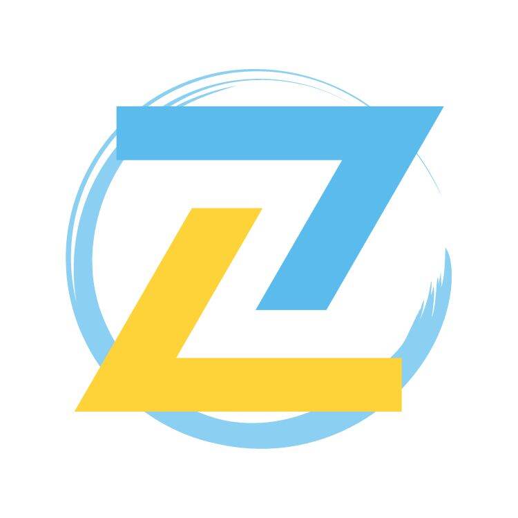 the zeros shoes