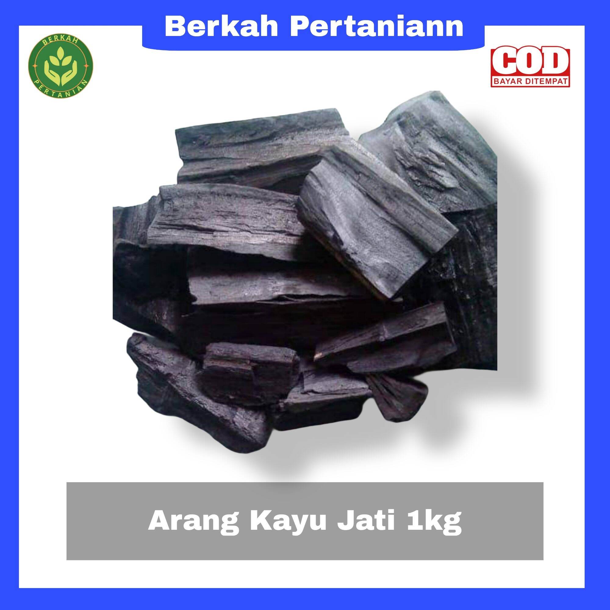 Arang Kayu In English
