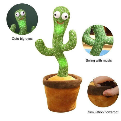Harga kaktus bisa ngomong