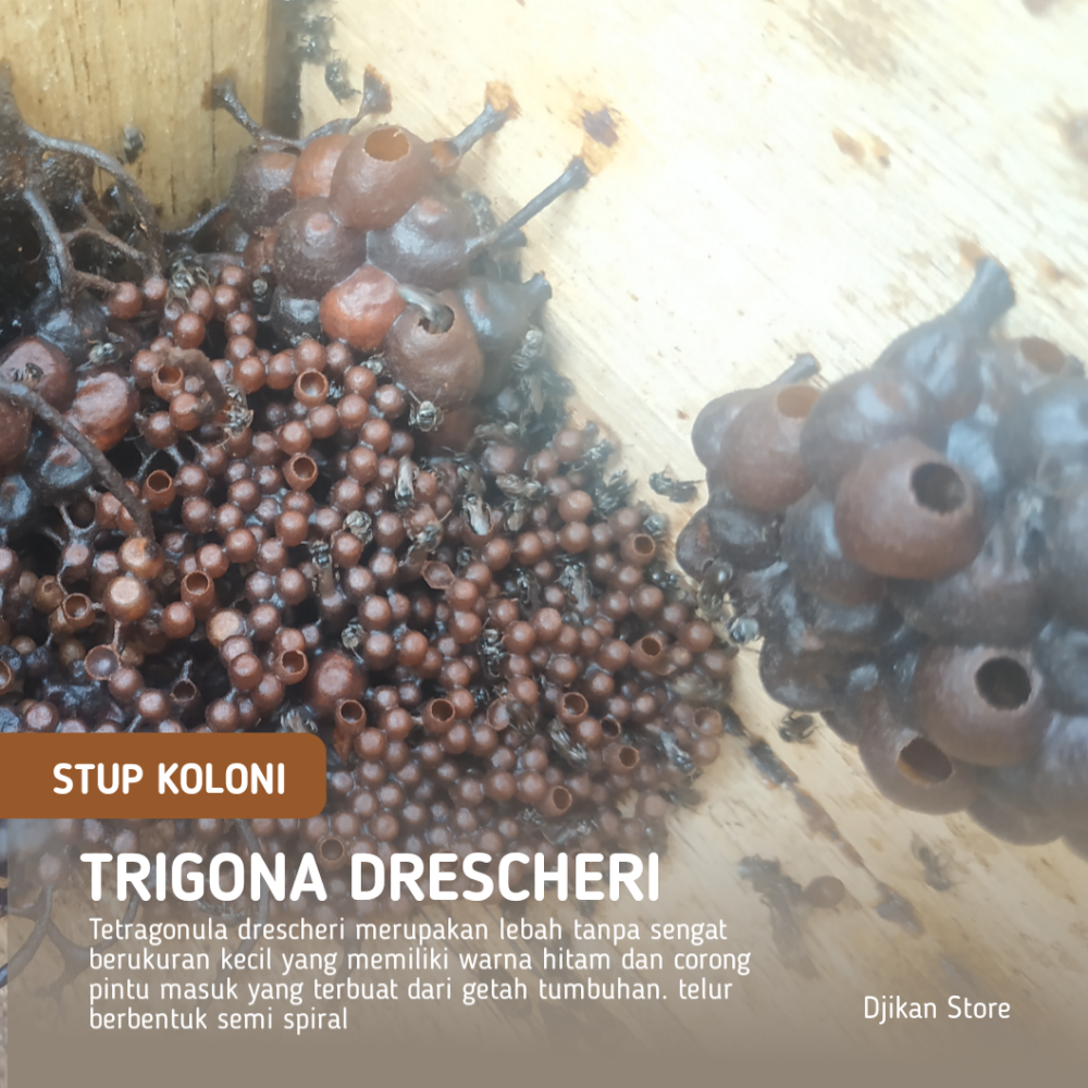 Mariya Gaidar yalangoch fotosurat