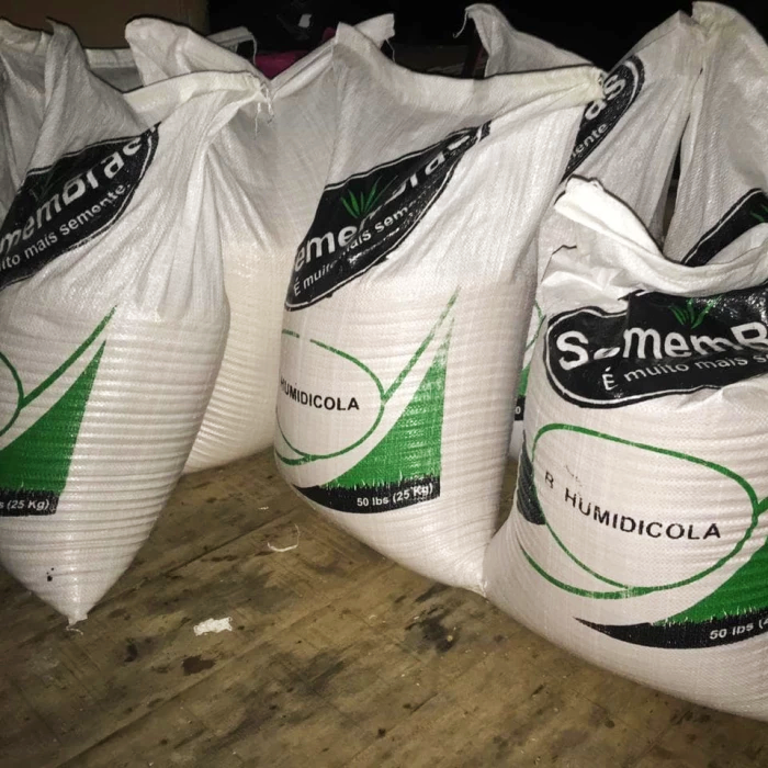 GRASS SEED HUMIDICOLA / Brachiaria humidicola 1karung / Biji rumput