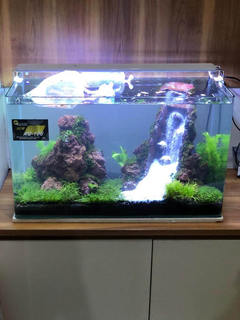 Jual Akuarium Bending Recent Terbaru Lazada Co Id Aquarium bending recent 107