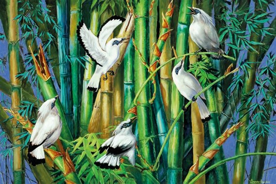 Lukisan Cetak, BURUNG JALAK BALI, Ukuran JUMBO, 100×70cm & 150×100cm & 200×100cm — LJB04