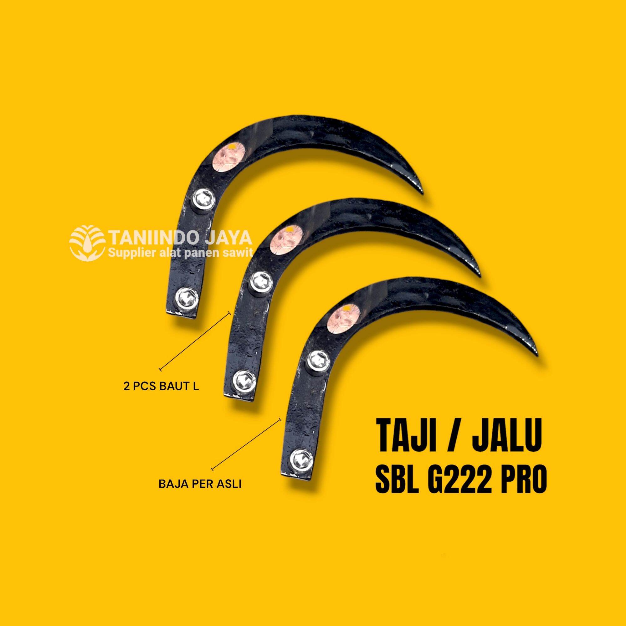 Mushukdagi jinsiy aloqa