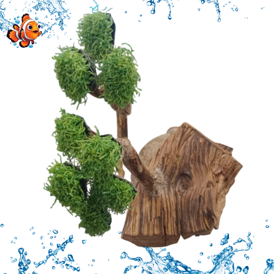 Hiasan Dekorasi Aquarium Aquascape POHON BONSAI TEBING MOSS