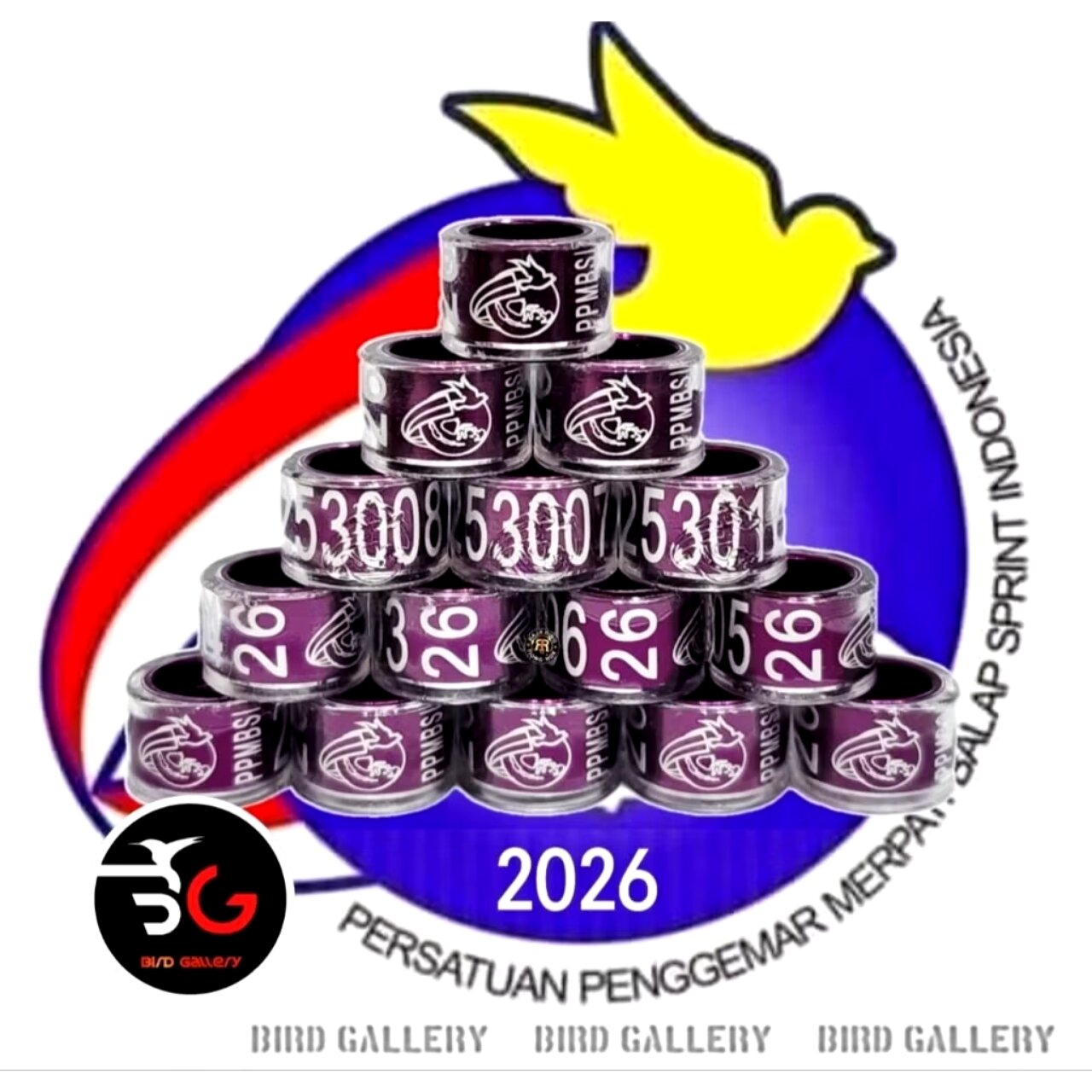 Ring Merpati Pos Nagamas Jual Ring Merpati Pos Nagamas Terbaru