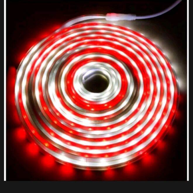 Lampu LED Strip Selang Merah Putih 10 Meter + Adaptor AC 220V Outdoor Hias Agustus
