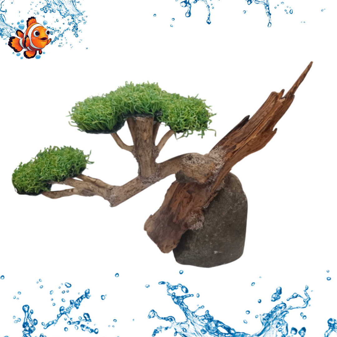 Hiasan Dekorasi Aquarium Aquascape POHON BONSAI TEBING MOSS