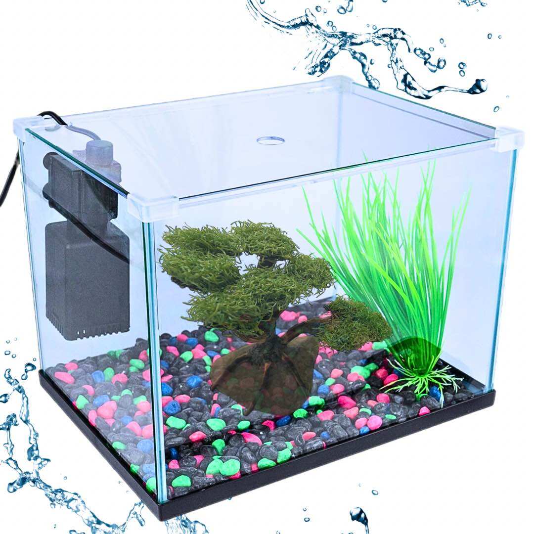 Hiasan Dekorasi Aquarium Aquascape TANAMAN BONSAI MOSS SIZE MEDIUM / SMALL