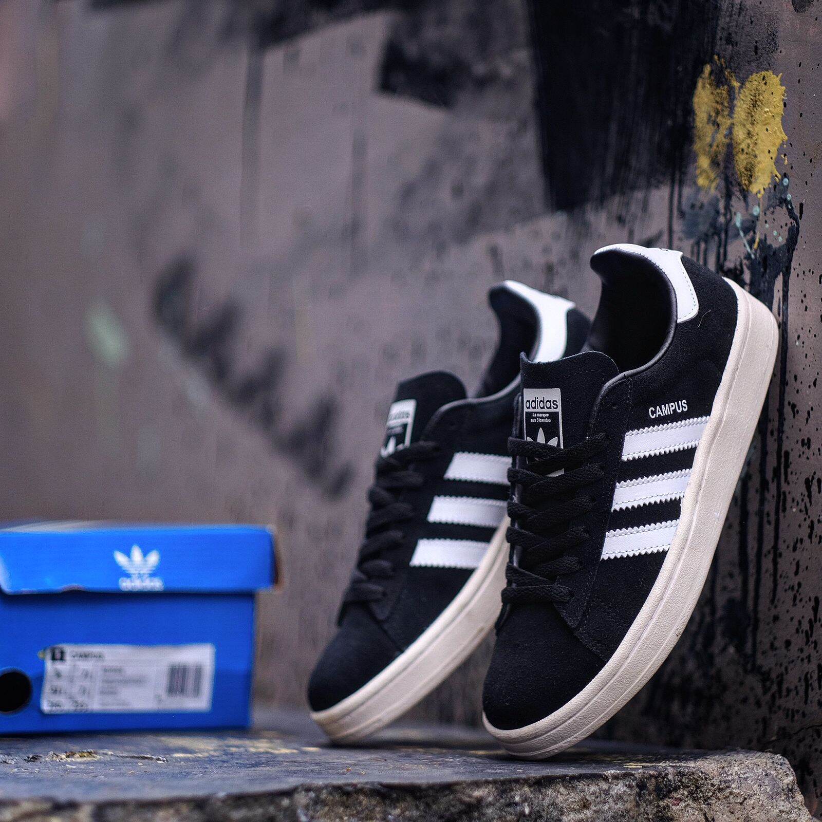 white campus adidas