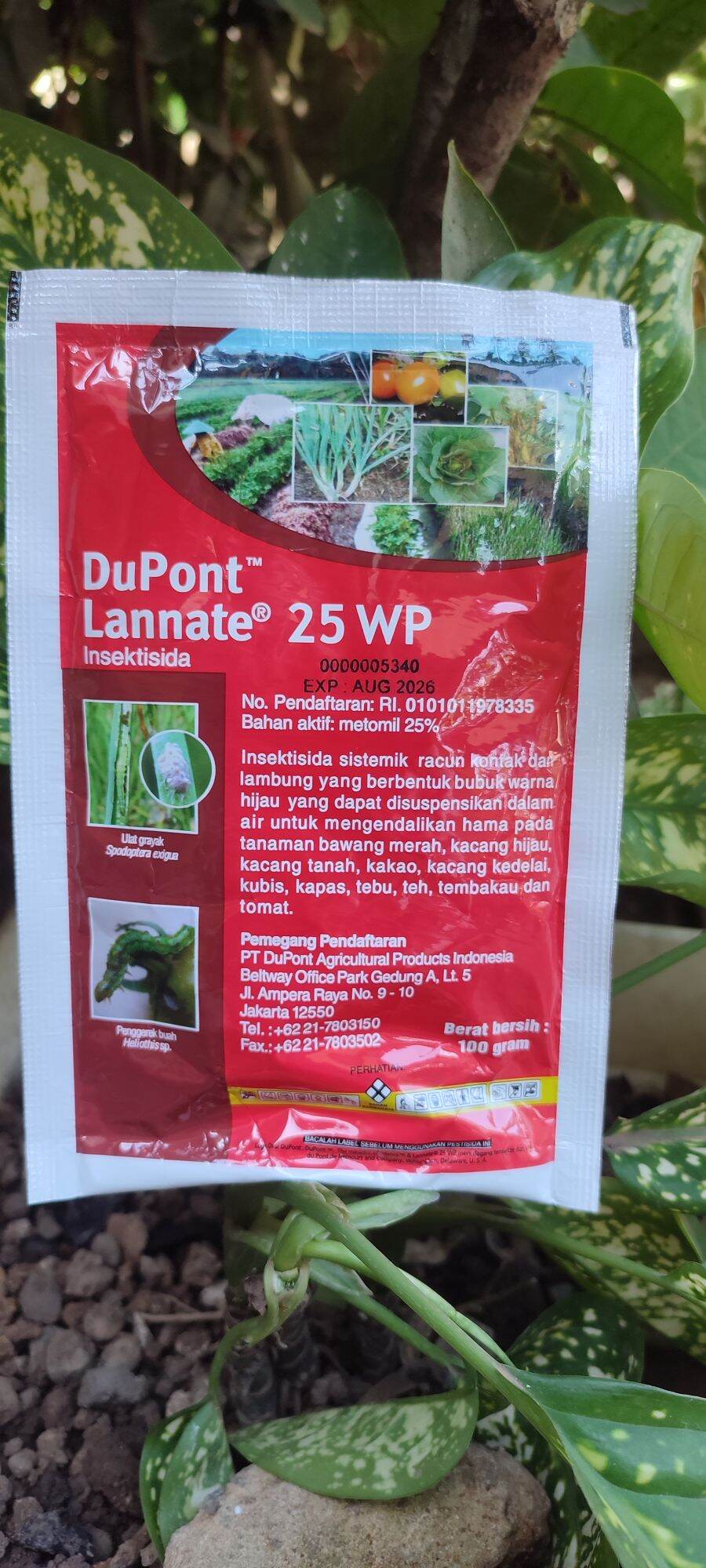 Bortib chiqqan yosh rus dumbalarining jinsiy aloqa videosi