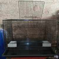 KANDANG KUCING SUGAR GLIDER KELINCI BURUNG TUPAI IGUANA Free 2 Tempat Makan SIZE L 60x40x40 CM
